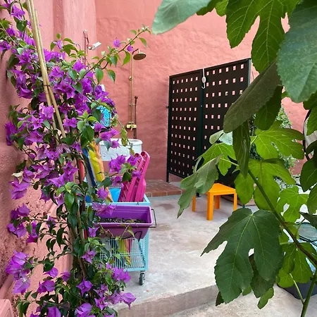 Genius Loci Cozy House With Garden In The Old Town Iun P4177 Apartment