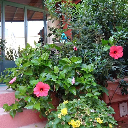 Genius Loci Cozy House With Garden In The Old Town Apartment Olbia