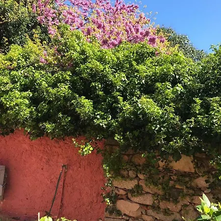 Genius Loci Cozy House With Garden In The Old Town Iun P4177 Olbia